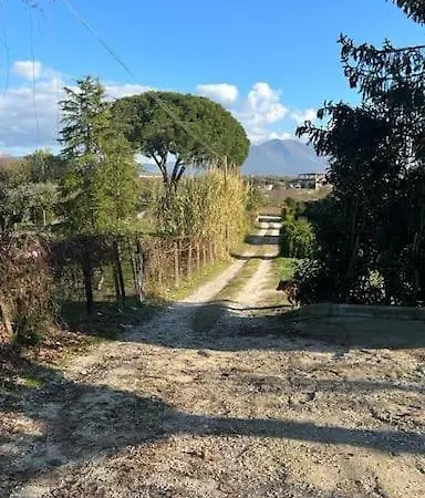 Casa Nel Verde A Monterotondo Cretone Esterno foto