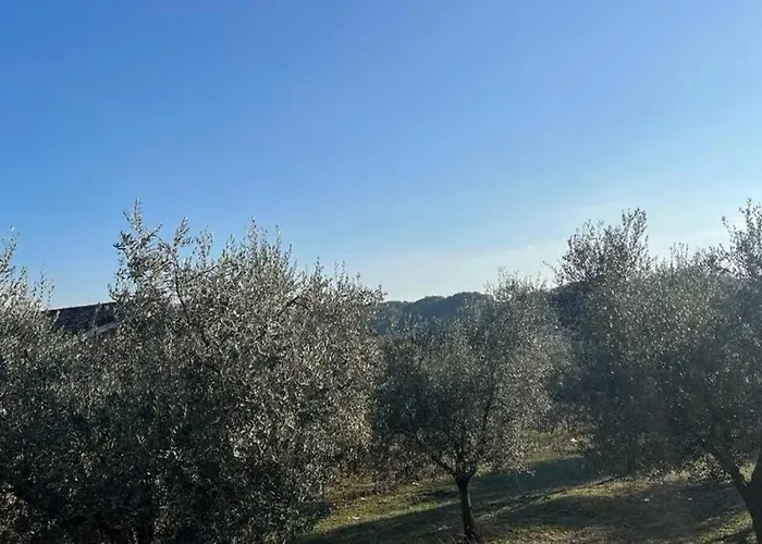 Casa Nel Verde A Monterotondo