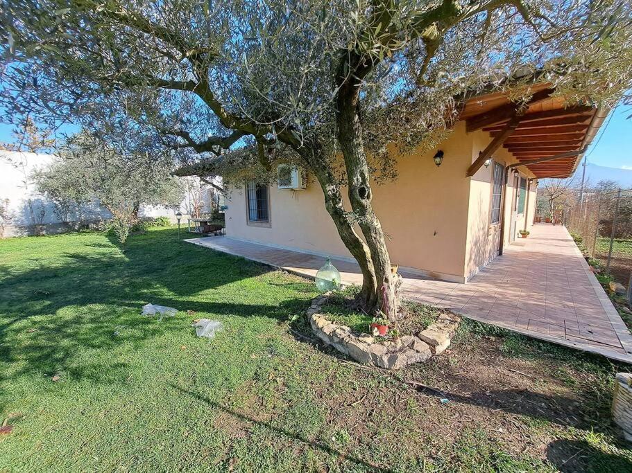 Villa Casa Nel A Monterotondo Cretone
