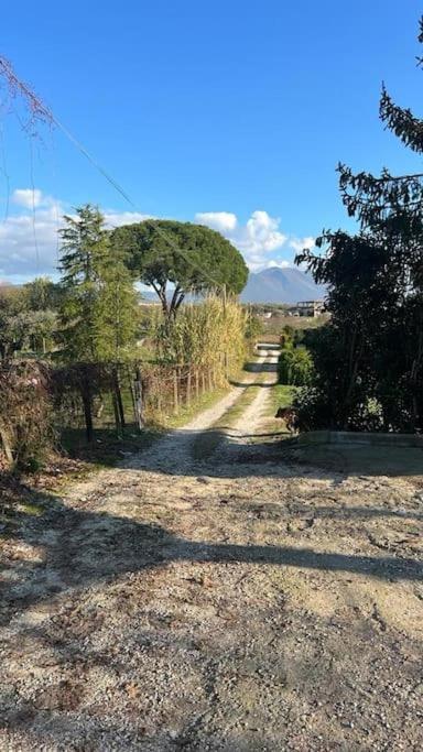 Casa Nel A Monterotondo *