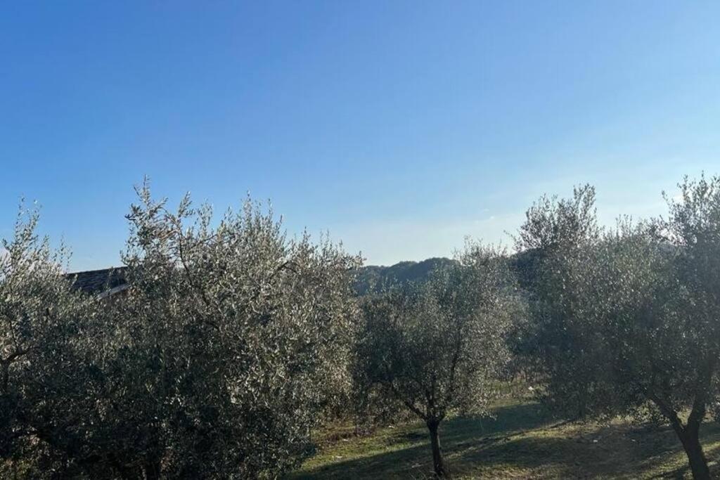 Villa Casa Nel A Monterotondo Cretone